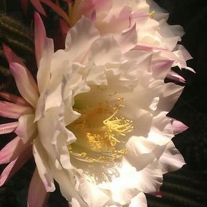 Meet your Posher, Gaby